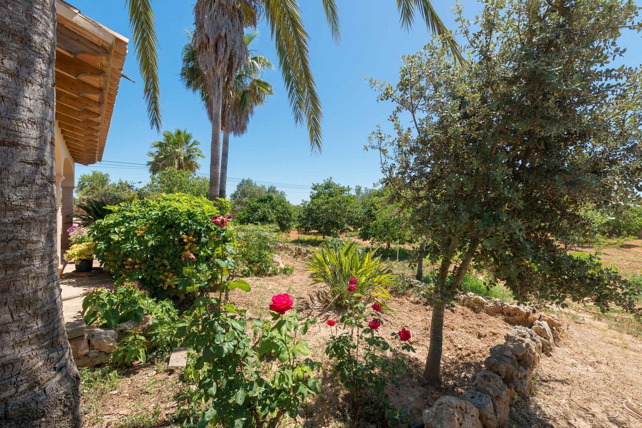 Villa Clau De Sol Can Picafort (Mallorca)